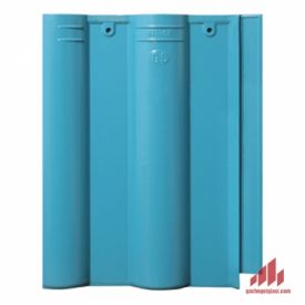 GST 11 SN (KHÔNG HOA VĂN)